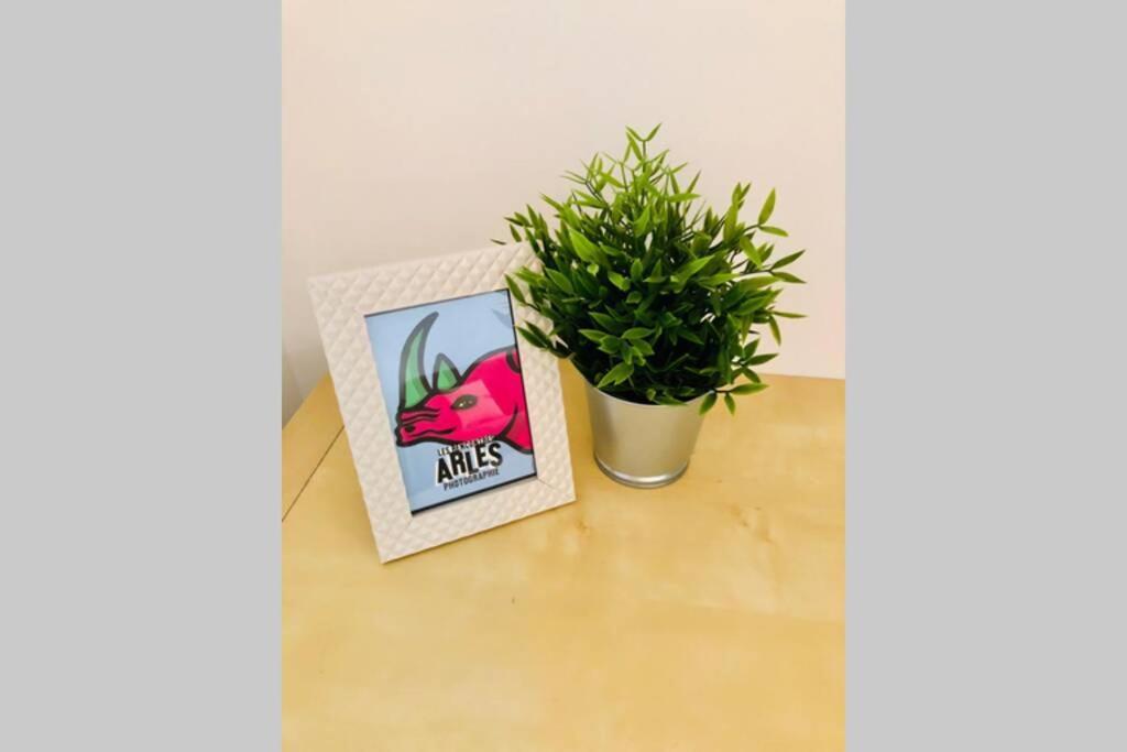Studio Serenite-la Roquette-rue Tres Calme Apartment Arles